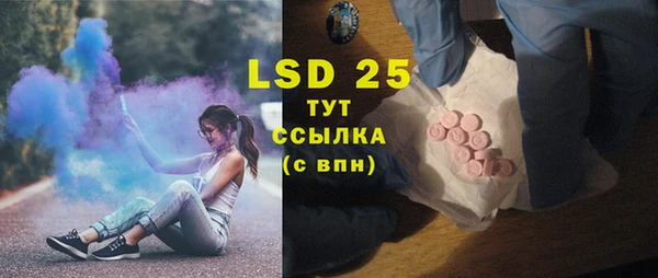 прущие грибы Горняк