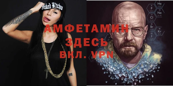прущие грибы Горняк