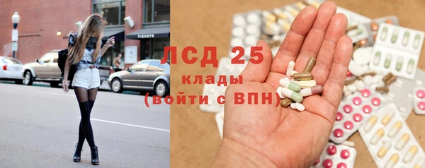 прущие грибы Горняк
