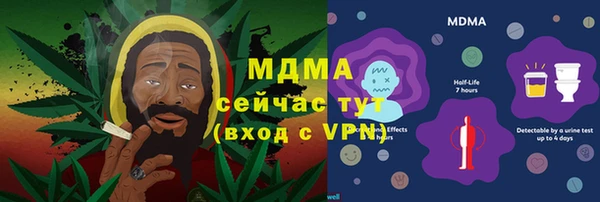 прущие грибы Горняк