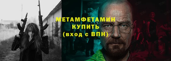 прущие грибы Горняк