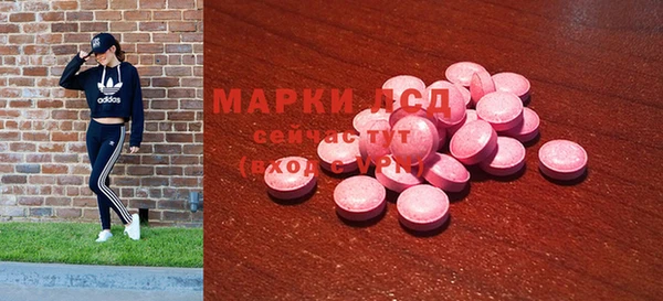 прущие грибы Горняк