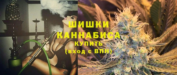 винт Горно-Алтайск
