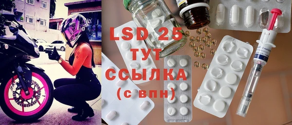 прущие грибы Горняк