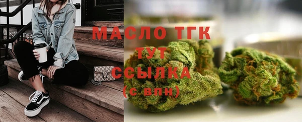 прущие грибы Горняк