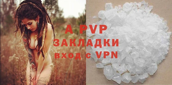 винт Горно-Алтайск