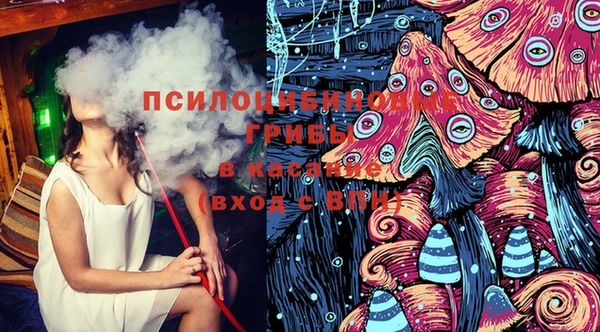 прущие грибы Горняк