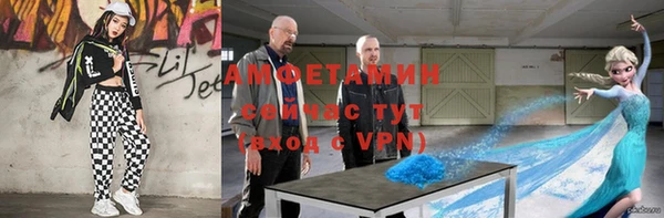 прущие грибы Горняк